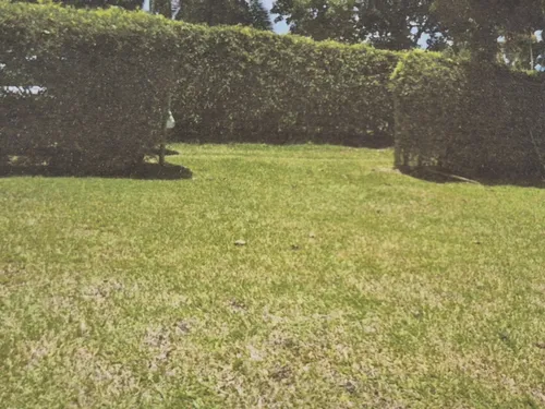Lote A La Venta En Santagueda