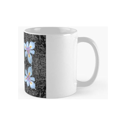 Taza Psychedelic Quincena Lily Blanco Y Negro Calidad Premiu