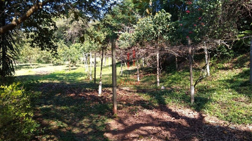 Chacara - Piracaia - Ref: 7309 - V-7309