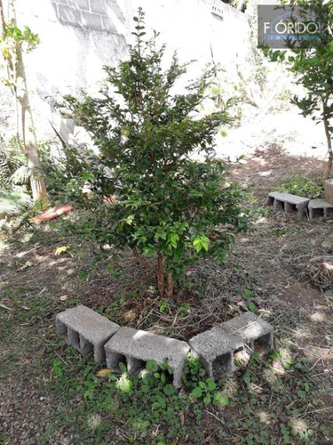 Imagem 2 de 15 de Chácara Condomínio Para Venda Em Piracaia, Condomínio Vale Do Atibaia, 1 Dormitório, 1 Banheiro, 4 Vagas - 5472_2-1602478