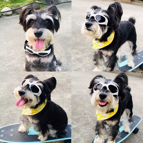Imagen 10 de 10 de Gafas Lentes De Sol Uv Para Perro Mascotas Mediana A Grandes