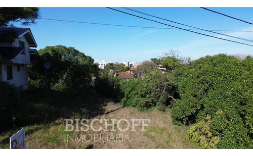 Venta De Lote En Ostende Calle Moreno