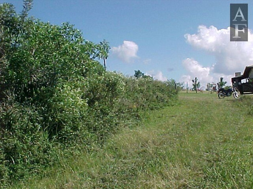Imagem 5 de 12 de Terreno Para Venda Em Morro Da Silveira Garopaba-sc - Tv335