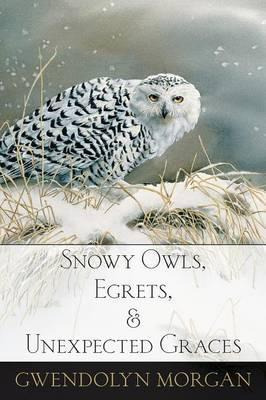 Libro Snowy Owls, Egrets, And Unexpected Graces - Gwendol...