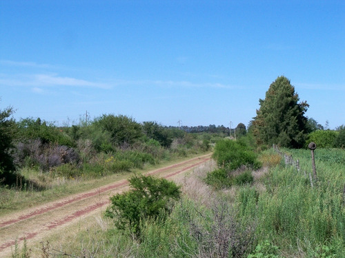 Imagen 9 de 10 de Chacras Venta Carmelo Paraje Colonia Estrella