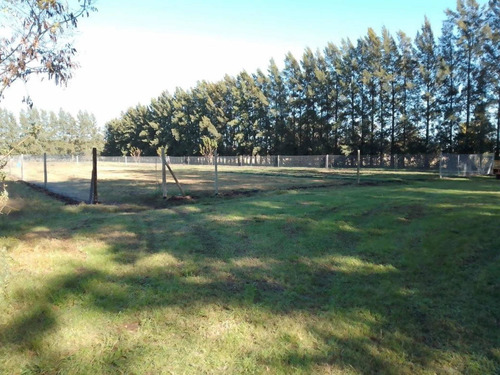 Imagen 12 de 14 de Hermoso Campo 10 Hectáreas En Cardales - Exaltación De La Cruz