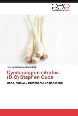 Cymbopogom Citratus (d.c) Stapf En Cuba - Rafaela Altagra...