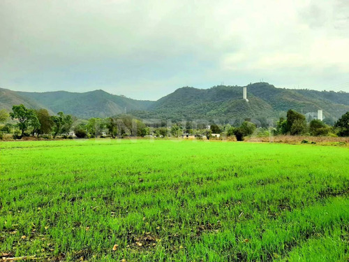 Terreno En Venta, Santa Magadalena Tilostoc.