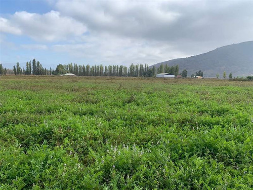 Agrícola En Venta En San Vicente