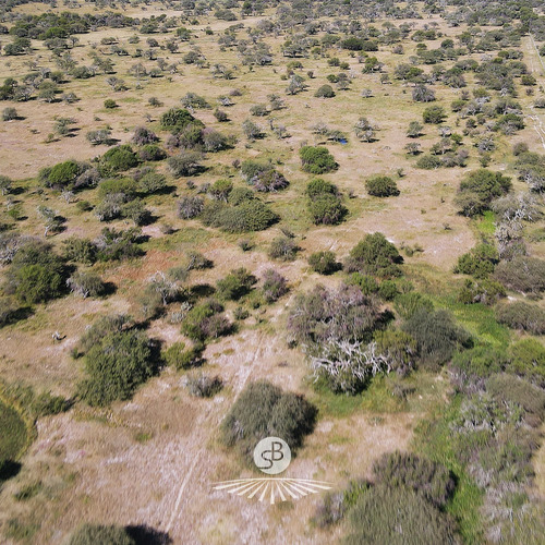 Campo Ganadero De 35 Hectáreas Con Mejoras, Gualeguaychú.