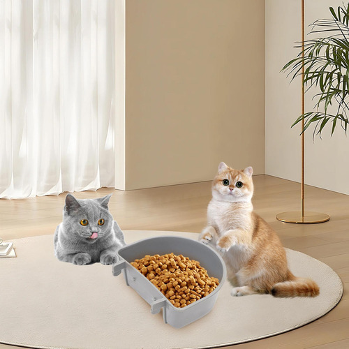 Cuenco De Comida Para Gatitos Cuencos De Comida Para Jaulas