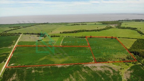 Imagen 7 de 13 de Martin Chico, Colonia - Campo Agricola Con Vista Al Rio De La Plata