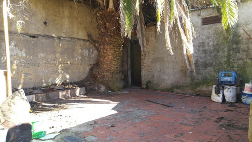 Imagen 9 de 10 de Ph Pb Al Fondo 3 Amb Con Jardín. A Refaccionar O Demoler