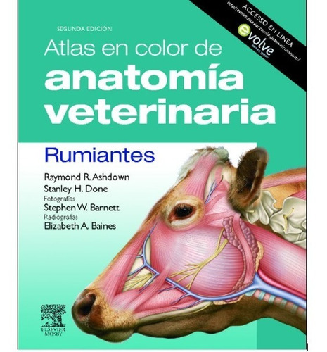 Atlas En Color De Anatomía Veterinaria Rumiantes Ashdown