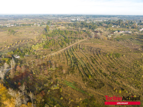 Venta Magnífico Terreno Para Urbanización En Zona De Barrios