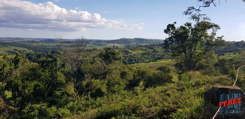 Chácaras_sítios_fazendas Para Venda - 13650.5197