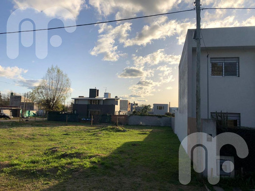 Imagen 4 de 7 de Terreno - City Bell