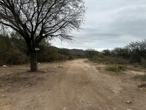 2 Lotes En Finca Punta Serrana