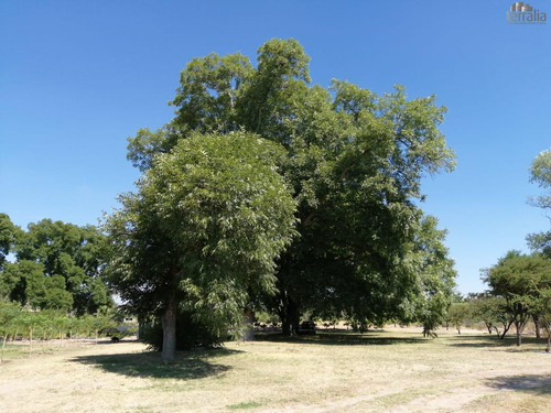 Terreno Campestre En Venta En El Espejo En Fraccionamiento Sustentable
