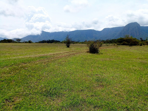 Increíble Terreno Con Manantial