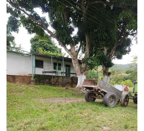 Venta De Finca En Aguirre, Montalbán - 1631 Inmobiliaria Maggi.