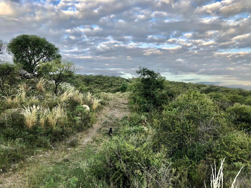 Imagen 8 de 10 de Venta Campo 4 Hectáreas- Villa Del Dique, Córdoba