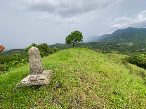 Vendo Hermosa Finca De 1,100 Tareas En Villa Altagracia Ubicada En La Localidad De Blanco
