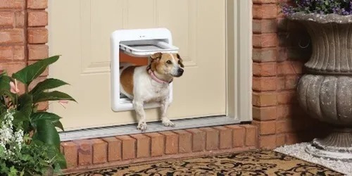 Imagen 3 de 6 de Puerta Exterior Grande L Para Perro Gato Mascota