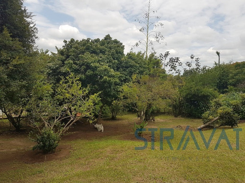 Imagem 27 de 30 de Chacara - Ch00116 - 69927109