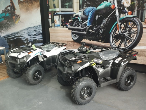 Imagen 6 de 15 de Kawasaki Brute Force 300