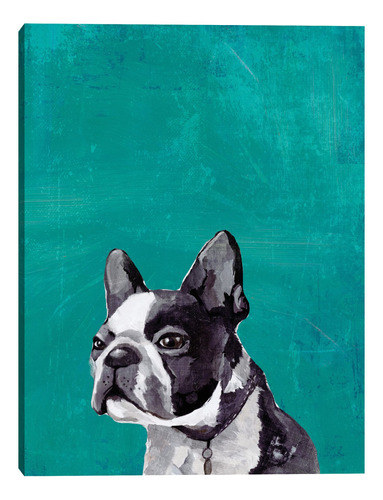 Cuadros Decorativos - Cachorro Frenchie- Pi Studio