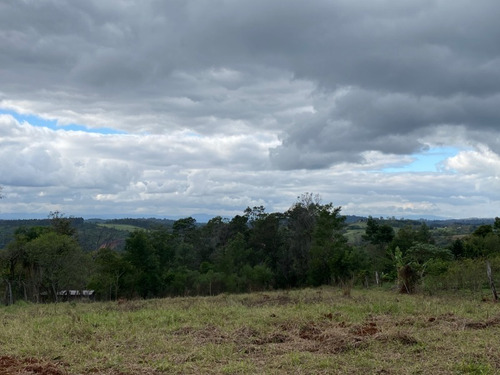 Chácara 10.000 M² - Lomba Grande - Novo Hamburgo - Rs - 2117 - 33898402