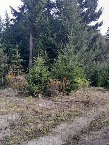 Venta Terreno / Lote Villa La Angostura