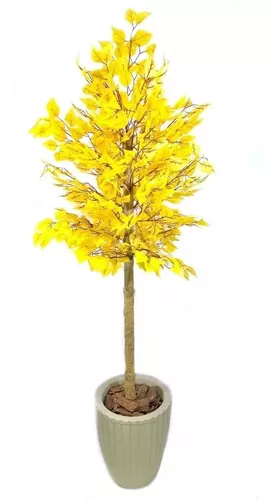 Árvore Fícus Amarelo 170cm Planta Artificial + Vaso Grande