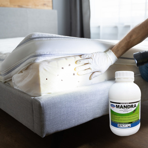 Veneno Para Chinches De Cama Insecticida Para Chinches 500ml