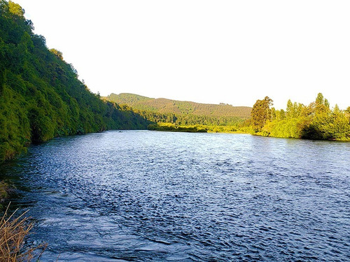 Imagen 9 de 13 de Lindos Terrenos Orilla Común De Río Calle Calle Los Lagos