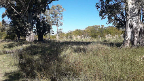 Imagen 7 de 13 de Excelente Lote 500 Mts Venta Mariano Acosta Merlo