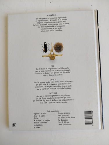 Libro Esqueletos-biblioteca Visual Altea-1990