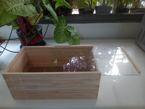 Imagen 5 de 10 de Cajas De Madera Huacales Guacales Cestas Vineras Bandejas