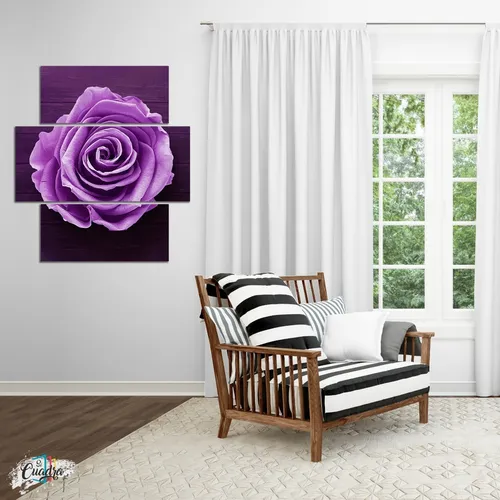 comprar Cuadro Rosa Morada Moderno Mosaico Vertical Horizontal Flor