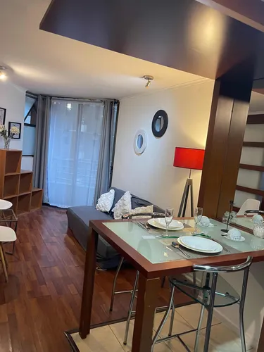 Comodos Departamentos En Bellas Artes