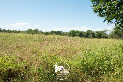 Imagen 8 de 11 de Venta De Finca Agricola En Masaya