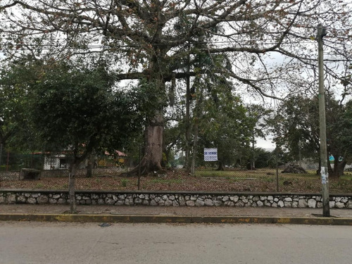 Imagen 13 de 17 de Terreno - La Piragua