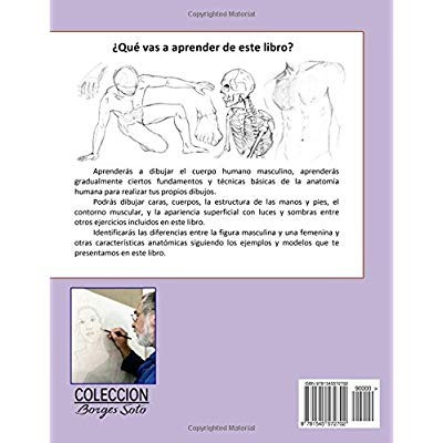 Imagen 2 de 2 de Como Dibujar La Figura Masculina / Anatomia Humana: Tecnicas