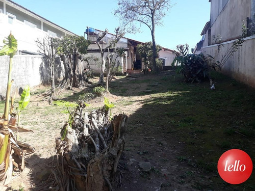 Imagem 1 de 10 de Terreno - Ref: 215092