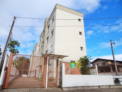 Imagem 1 de 15 de Apartamento - Vila Nova - Ref: 331920 - V-331920