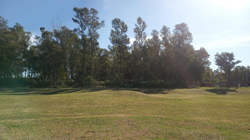Imagen 2 de 6 de Terreno - Chacras Del Parana - Zarate