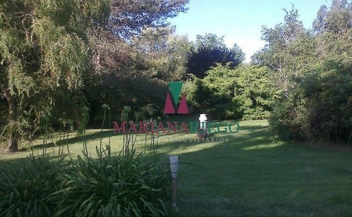 Imagen 13 de 30 de Importante Casa Quinta