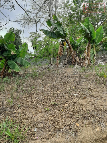 Imagem 9 de 11 de Terrenos Em Loteamento Fechado À Venda Em Mairiporã/sp - Compre O Seu Terrenos Em Loteamento Fechado Aqui! - 1483734