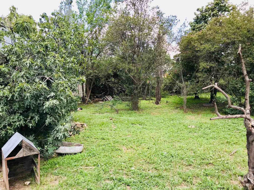 Imagen 5 de 18 de Hectarea + Galpon + Casa Venta A Metros De Ruta 26